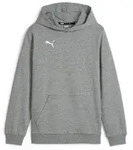 PUMA Hoodie teamGOAL Casuals Hoody Jr grau 116 EU