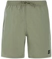 Protest Badeshorts PRTBaky (1-St)