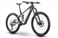 R Raymon E-Bike Tarok E-Mountainbike grau 29/27,5 Zoll - Rahmengr&ouml;&szlig;e: M=42cm