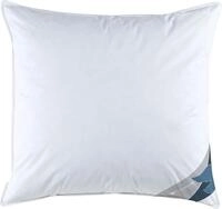 Haeussling 3-Kammer-Kopfkissen GR&Ouml;NLAND, Kissen in 40x80 & 80x80 cm, F&uuml;llung: