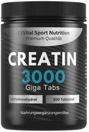 Creatin 3000 Giga Tabs, workout booster, 3450mg Kreatin Monohydrat Tabletten, 345 g