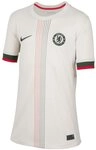 Nike Fu&szlig;balltrikot Nike Performance Premier League