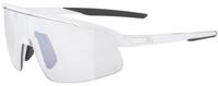 Alpina Skibrille TURBO PRO S V