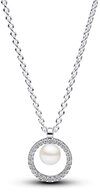 Pandora Collier 393165C01-45