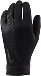 Nike Torwarthandschuhe NK ACDMY THERMAFIT - HO24 BLACK/BLACK/BLACK