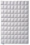 Kauffmann Daunenbettdecke Eiderdaune Exclusive - Medium, F&uuml;llung: 100 % Eiderdaunen,
