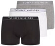 Tommy Hilfiger Underwear Trunk 3P TRUNK DTM (Packung, 3-St., 3er) mit Logobund