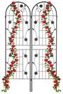 relaxdays Rankgitter 2er Set 180 cm, 2 St.