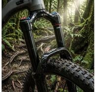 RockShox Federgabel Federg. RockS. Pike Ult. Charg. 3.1 RC2 29"