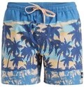 Quiksilver Badeshorts