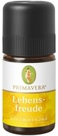 Primavera Life GmbH Raumduft Lebensfreude Duftmischung, 5 ml