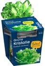 Kosmos Spiel Gr&uuml;ne Kristalle