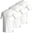 adidas Sportswear T-Shirt Active Core Cotton (3er Pack) Lockere Passform,