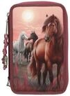 Depesche Geldb&ouml;rse Depesche 3-Fach Federtasche Miss Melody DREAMLAND pink/rot