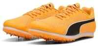 PUMA evoSPEED Star 9 Junior SUN STREAM-PUMA WHITE-PUMA BLACK Spike Schuh