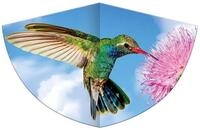 Paul G&uuml;nther Flug-Drache Kinder-Drachen Kolibri 75x48cm PE Einleiner