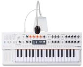Arturia Synthesizer (Synthesizer, Analog Synthesizer), MiniFreak Vocoder -