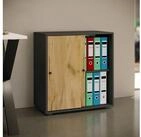 VCM Aktenschrank B&uuml;roschrank Aktenschrank Schiebet&uuml;ren Lona 2fach (1-St)