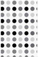 vidaXL Duschrollo, Duschrollo 150x240 cm Stoffbreite 146 cm