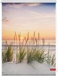 Seitenzugrollo Rollo Klemmfix, ohne Bohren, blickdicht, Nordseestrand,...