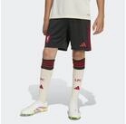 adidas Performance Shorts FC&nbsp;LIVERPOOL&nbsp;25/26&nbsp;AUSW&Auml;RTSSHORTS (1-tlg)
