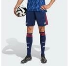 adidas Performance Shorts ARSENAL 25/26 AWAY SHORTS (1-tlg)