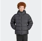 adidas Originals Winterjacke TONAL HOODED PUFFER