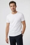 OLYMP T-Shirt Casual