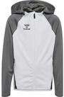hummel Trainingsjacke Hummel Herren Kapuzenjacke LEAD 2.0 ZIP HOODIE 223759
