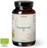Waldkraft. Erdling BIO Kelpalgen-Jod Kapseln, Hochdosiert mit 478,5 &micro;g Jod &ndash;