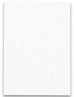 Generic Notizzettel Landr&eacute; Kanzlei-Papier A3 auf A4 gefalzt, kariert, 80 g/m&sup2;, 250