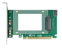 Delock SFF-8639 - Schnittstellenkarte - gr&uuml;n Computer-Adapter