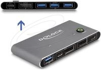 Delock VGA-Switch