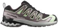 Salomon XA PRO 3D V9 GTX W Trailrunningschuh wasserdicht