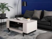 FORTE Couchtisch VODOL, Couchtisch, Ablageboden, 2 offen F&auml;cher