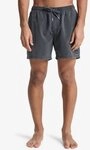 Quiksilver Badeshorts EVERYDAY SURFWASH VOLLEY 15 sportliche Schnittform, PFC FREE
