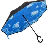 vidaXL Taschenregenschirm Regenschirm C-Griff Schwarz 108 cm