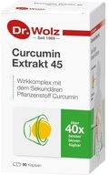 Dr. Wolz Zell CURCUMIN EXTRAKT 45 Dr.Wolz Kapseln Kapseln, 90 St.