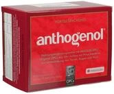 OPC OPC ORIGINAL Masqueliers Anthogenol Kapseln Schachtel