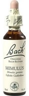 Bach Original Mimulus f&uuml;r emotionale Balance und pers&ouml;nliches Wohlbefinden...