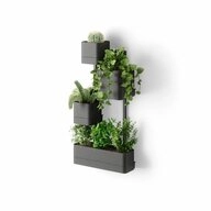 Umbra Blumenkasten Cubiko Wandpflanzkasten black