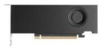 Nvidia RTX PRO 2000 Blackwell Grafikkarte (16 GB, GDDR7)