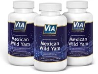 Via Vitamine Mexican Wild Yam, ohne Zusatzstoffe, 120 vegane Kapseln, 750mg...