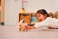 SIMBA Pl&uuml;schfigur Pl&uuml;sch Stofftier PetZoo BunBun Hase 19cm 105890156