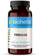 BIOHERBA R Bioherba Tribulus 250 mg 100 Kapseln Nahrungserg&auml;nzungsmittel, 1 er
