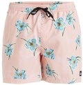 Quiksilver Boardshorts Everyday Straight 15"