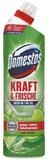 DOMESTOS Lime Fresh WC-Reiniger (750 ml)