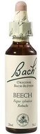 Bach Original Beech f&uuml;r emotionale Balance und pers&ouml;nliches Wohlbefinden...