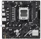 Asus Mainboard