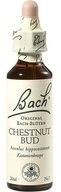 Bach Original Chestnut Bud f&uuml;r innere Balance und Wohlbefinden Tropfen, 20 St.,